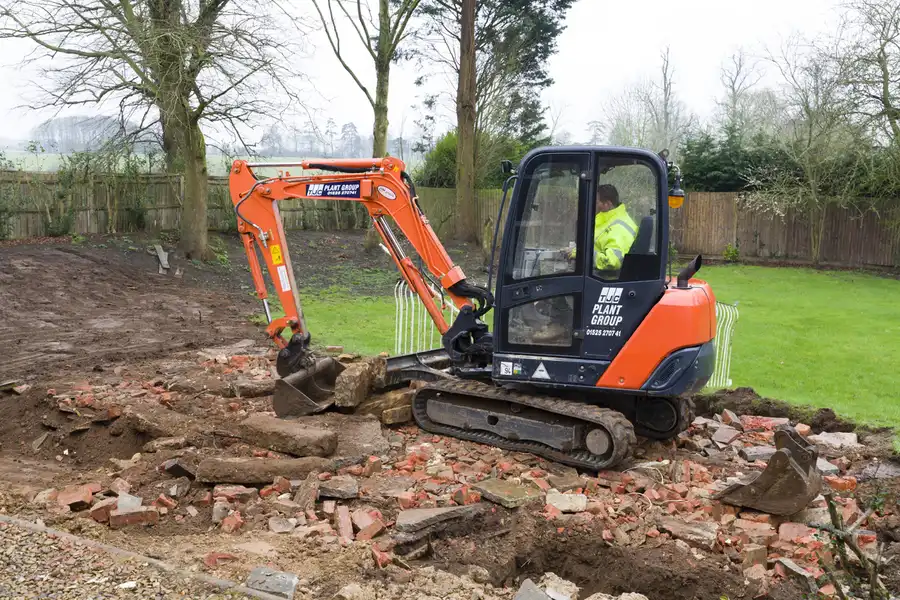 How Proper Land Clearing Prevents Pest Infestation Issues Lincoln Park, NJ How Proper Land Clearing Prevents Pest Infestation Issues Lincoln Park, NJ