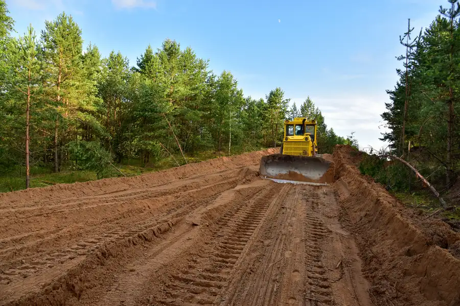 How Proper Land Clearing Prevents Pest Infestation Issues in Lincoln Park, NJ How Proper Land Clearing Prevents Pest Infestation Issues in Lincoln Park, NJ
